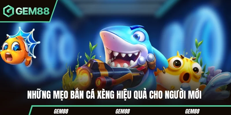 Bắn Cá Xèng - Cách Chơi, Hệ Số & Mẹo Kiểm Soát Đạn Những lưu ý khi áp dụng mẹo bắn cá xèng