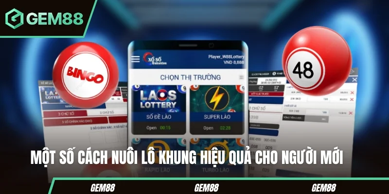 Các khung thời gian thường dùng khi theo dõi lô