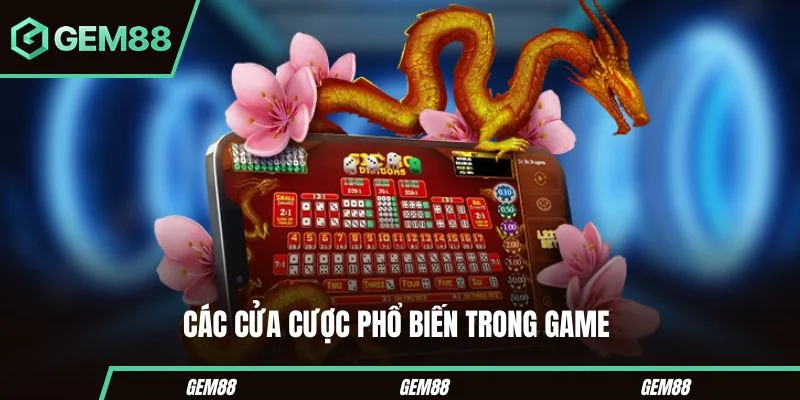 Các cửa cược thường gặp trong tài xỉu MD5