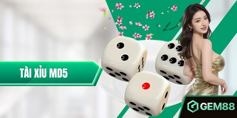 Tài Xỉu MD5 – Tổng Hợp Các Mẹo Rinh Thưởng Hiệu Tại Gem88